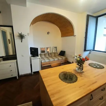 2 Bedroom Serviced Belle Vue By The Park Apartment Timisoara