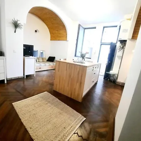 2 Bedroom Serviced Belle Vue By The Park Apartament Timişoara