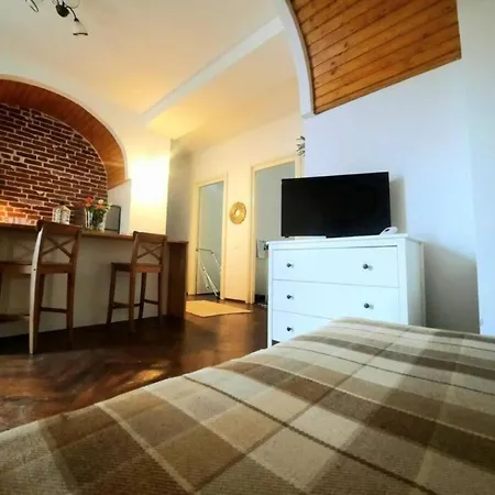 2 Bedroom Serviced Belle Vue By The Park Timişoara