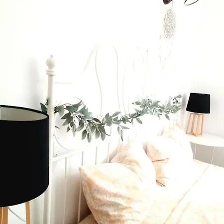 2 Bedroom Serviced Belle Vue By The Park Timişoara