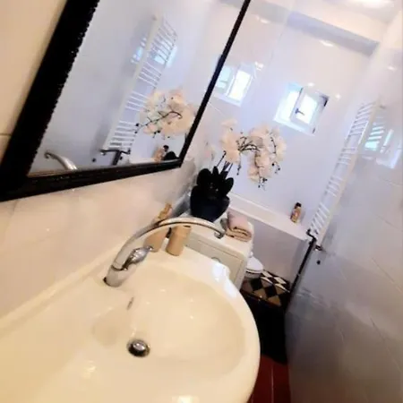 Apartment 2 Bedroom Serviced Belle Vue By The Park Timisoara