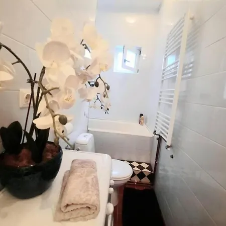 2 Bedroom Serviced Belle Vue By The Park *