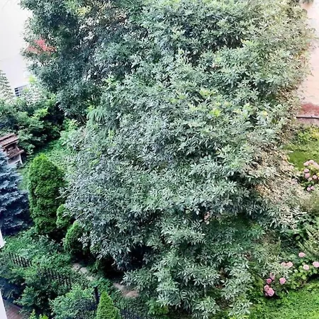 2 Bedroom Serviced Belle Vue By The Park