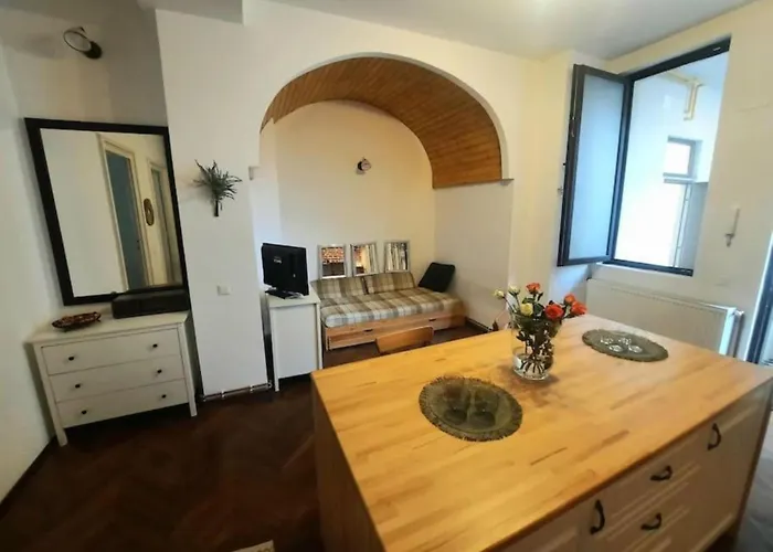 2 Bedroom Serviced Belle Vue By The Park Apartment Timisoara