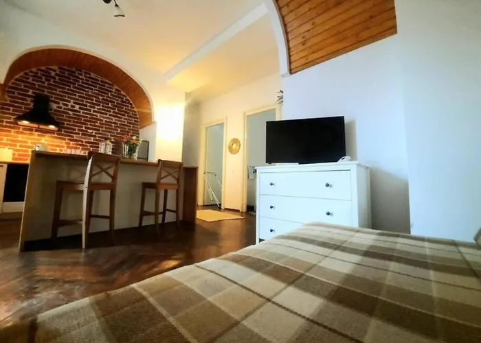 2 Bedroom Serviced Belle Vue By The Park Timisoara