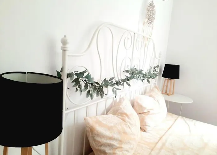 2 Bedroom Serviced Belle Vue By The Park Timisoara