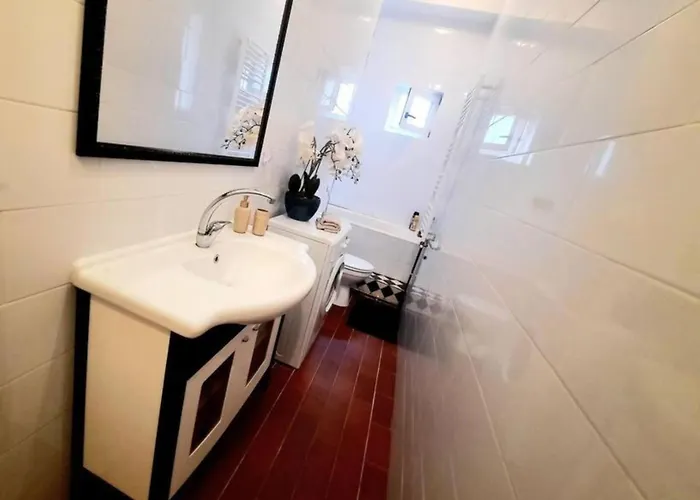 2 Bedroom Serviced Belle Vue By The Park Apartment Timisoara