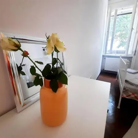 2 Bedroom Serviced Belle Vue By The Park Timisoara