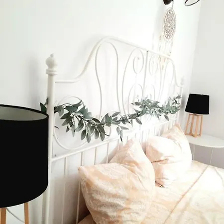 2 Bedroom Serviced Belle Vue By The Park Timisoara