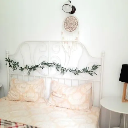 2 Bedroom Serviced Belle Vue By The Park * Timisoara