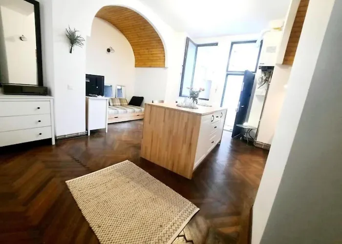 2 Bedroom Serviced Belle Vue By The Park Appartamento Timisoara